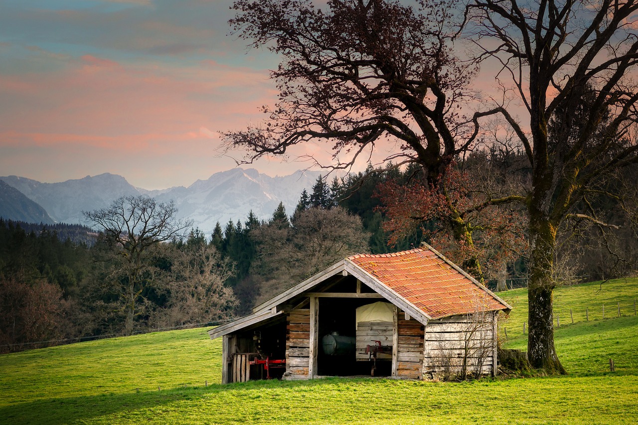Tips for Creating a Stylish and Functional Home Workshop
